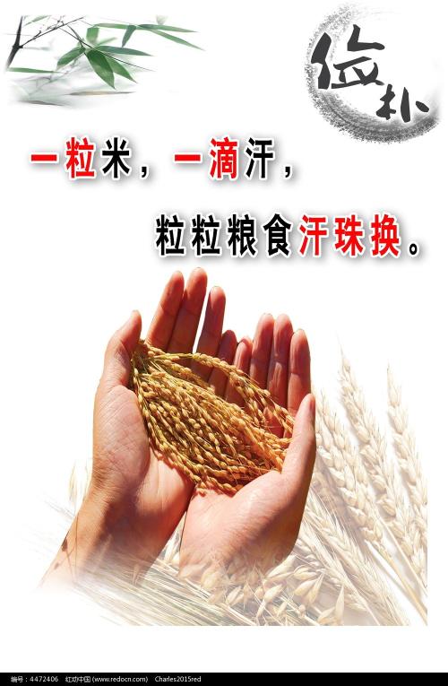 東京女子医科大学公共管理文凭证书